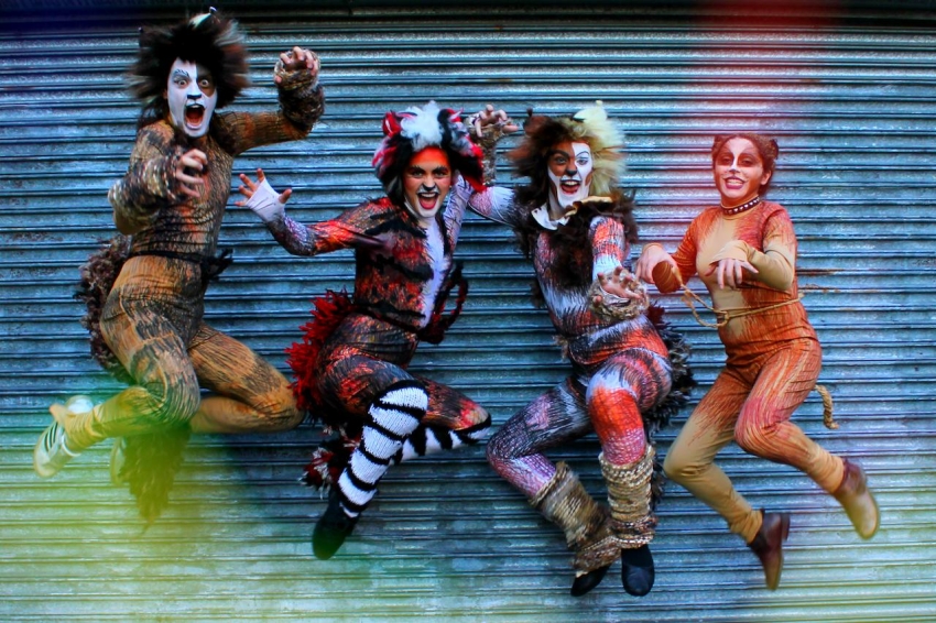 CATS at Jericho Theatre